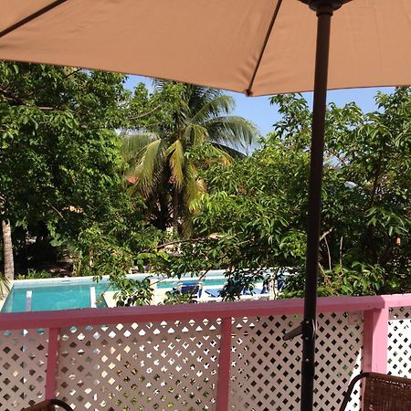 Hummingbirds Cabins Caye Caulker Rom bilde