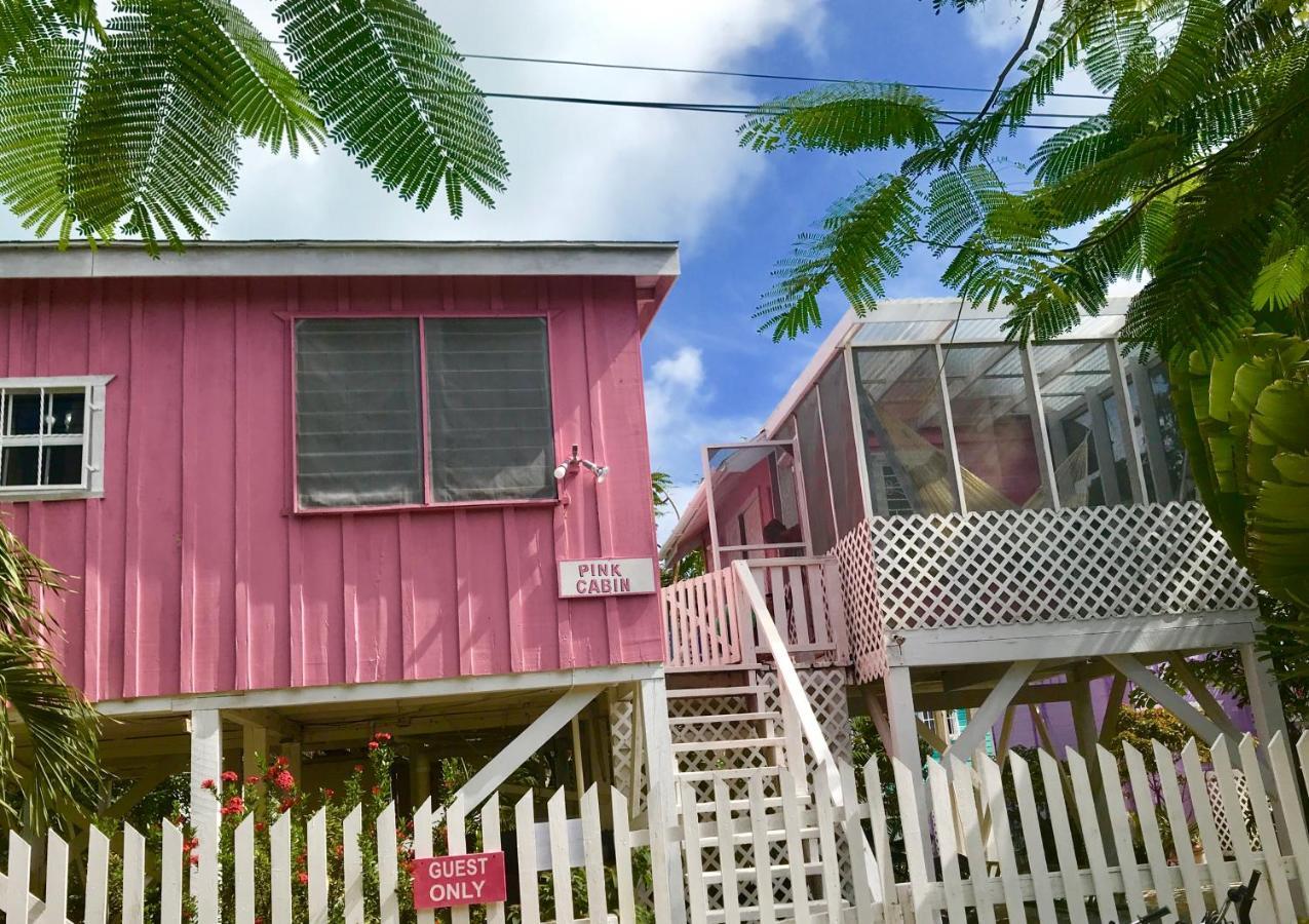 Hummingbirds Cabins Caye Caulker Rom bilde